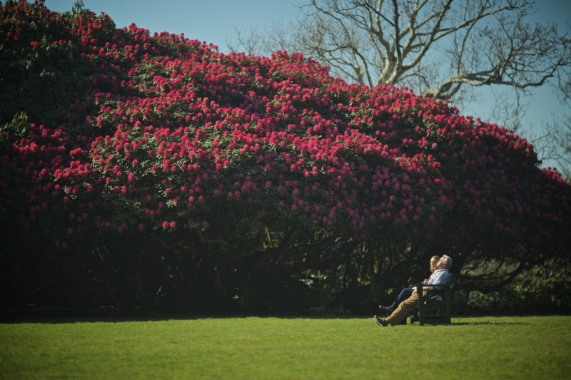 The Lost Gardens of Heligan